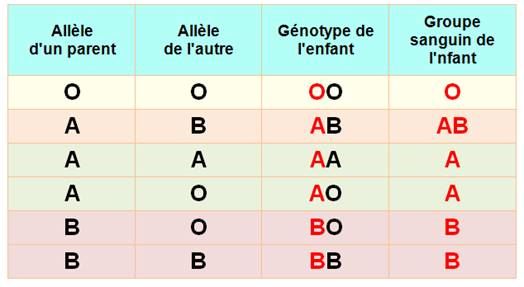 Les Caractéristiques Des Groupes Sanguins